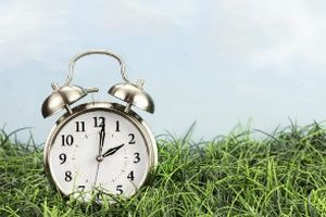 Clock on grass
